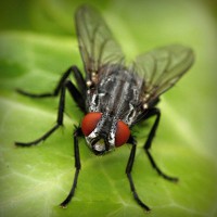 /album/crypilprecyd/photolia-a01-jpg/