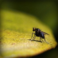 /album/crypilprecyd/photolia-a07-jpg/