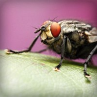 /album/crypilprecyd/photolia-a08-jpg/